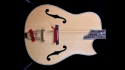 Custom Acoustic Guitar Unknown Builder