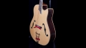 Custom Acoustic Guitar Unknown Builder