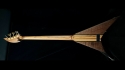 Abstract Custom Bass Build for Client