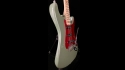 Fender American Professional Maple Fingerboard, Antique Olive Stratocaster