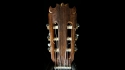 Guitarras Bros Taranta Especial
