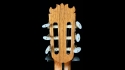 Guitarras Bros Taranta Especial