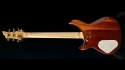 Quicksilver with New Custom Neck