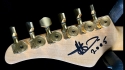 Pearlcaster White Pearl 382