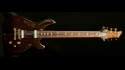 Quicksilver Cocobolo & Korina 21685