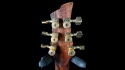 Quicksilver Cocobolo & Korina 21685