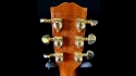 Gibson Songwriter Deluxe