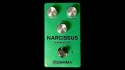 Gamma Narcissus Warm Delay Pedal