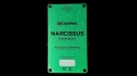 Gamma Narcissus Warm Delay Pedal