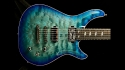 Quicksilver Custom Quilted Maple & White Korina 20066