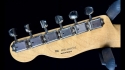 Fender Telecaster (Modified) 2014