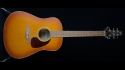 Seagull Entourage Rustic