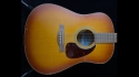 Seagull Entourage Rustic