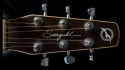 Seagull Entourage Rustic