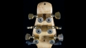 RKS Gold Rush Hollowbody 24 Karat Gold Plated