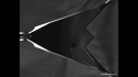 Abstract Vampire Tooth Guitar