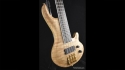 Abstract Caesar Bass