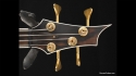 Abstract Caesar Bass