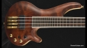 Abstract Caesar Bass