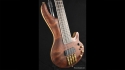 Abstract Caesar Bass