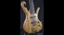 Abstract Scroll Bass 5 String