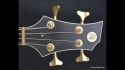 Abstract Scroll Bass