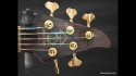 Alembic Orion 5 String Bass Sold