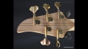 Alembic Orion 5 String Bass Sold