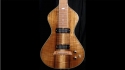 Asher Lap Steel Guitar Sold
