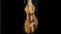 Asher Lap Steel Guitar Sold