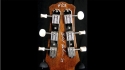 Asher Lap Steel Guitar Sold