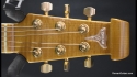 Burns Dream Noiseless Limited Edition BL2510TRS Sold