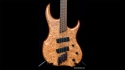 Dingwall Prima 4 Bass Guitar