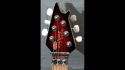 EVH Wolfgang Special Guitar Sold