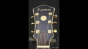 Eastman Roman Jazz Deluxe Guitar Sold