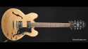 Epiphone by Gibson Dot Guitar Signed by BB King Sold