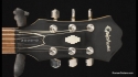 Epiphone by Gibson Dot Guitar Signed by BB King Sold