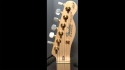 Fender James Burton Telecaster Blue Paisley Sold