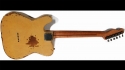 Fender Telecaster N/A