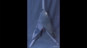 Gibson Flying V Black 1983 Sold