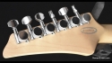 James Tyler Line 6 Variax JTV-69 Sold