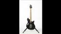 Peavey Wolfgang Sold