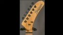 Pearlcaster with Glock Neck