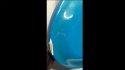 Mosrite Ventures Model Mark I Bass Sold
