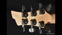 Quicksilver Quilted Maple & Korina Sold