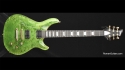 Quicksilver Figured Maple & Korina Transparent Green Top