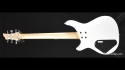 Quicksilver Custom Jeff Wilke Art