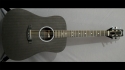 Rainsong SDR1100N2 Sold