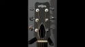 Rainsong SDR1100N2 Sold