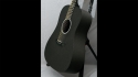 Rainsong SDR1100N2 Sold